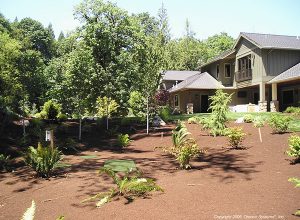 Back yard landscaping over residential installation
